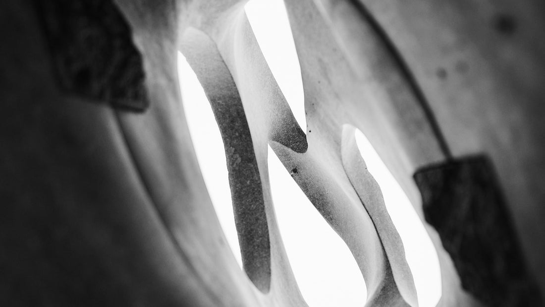 MAURICIO GUAJARDO | LA PIEDRA QUE CONVERSA CON EL INTERIOR