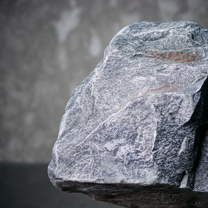 Piedra Gris Oscura I