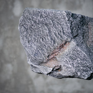 Piedra Gris Oscura XIII