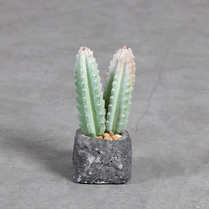 Planta Artificial Base Cerámica  4