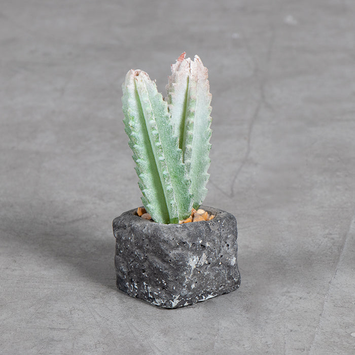 Planta Artificial Base Cerámica  4