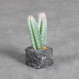 Planta Artificial Base Cerámica  4