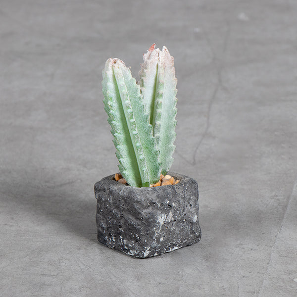 Planta Artificial Base Cerámica  4