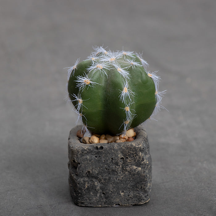 Planta Artificial Base Cerámica 5