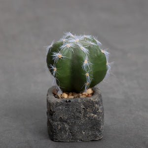 Planta Artificial Base Cerámica 5