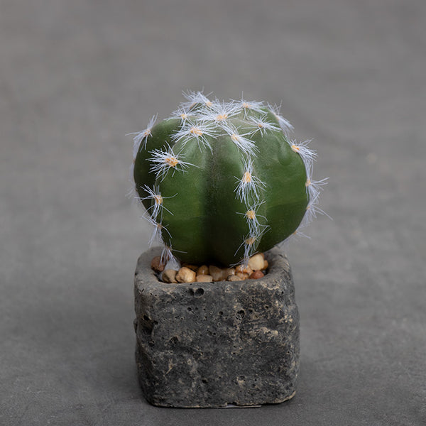 Planta Artificial Base Cerámica 5