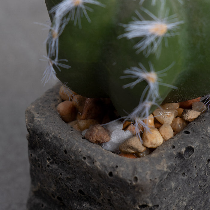 Planta Artificial Base Cerámica 5