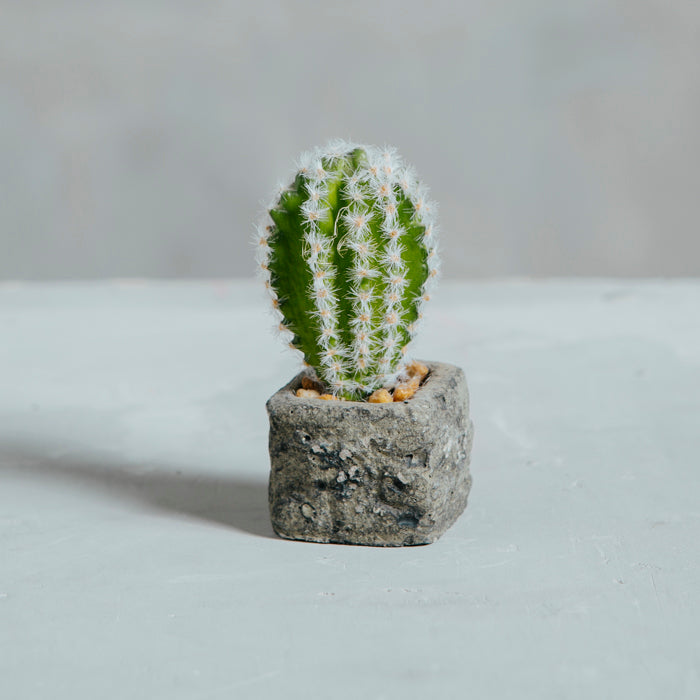 Planta Artificial Base Cerámica 6