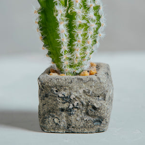 Planta Artificial Base Cerámica 6