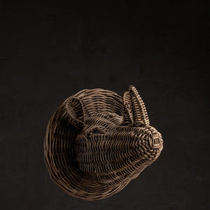 Cabeza De Rinoceronte