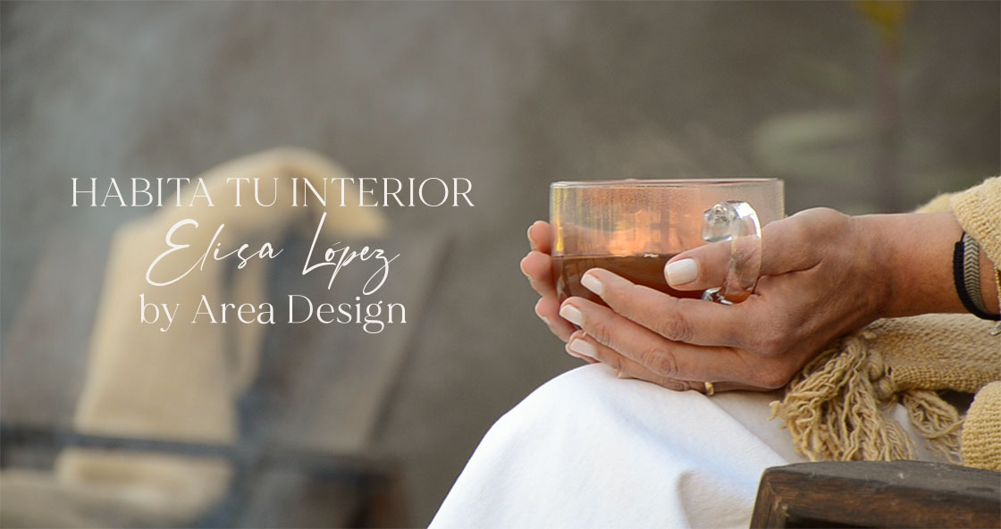 Banner-principal-elisa